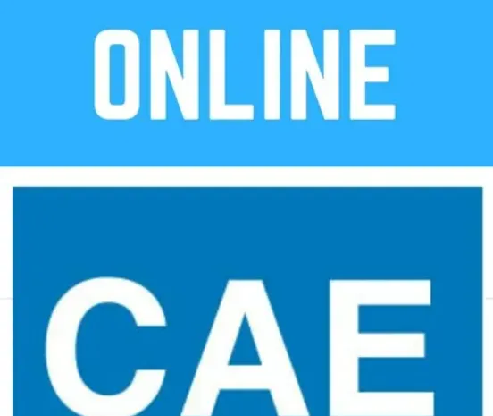  [Paul Newson] CAE – Certificate in Advanced English - C1 (whole course) (2020)